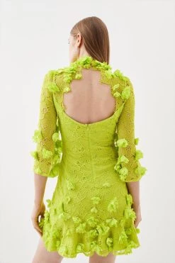 Karen Millen Tall Floral Applique On Lace Woven Mini -Karen Millen shop lime tall floral applique on lace woven mini 3